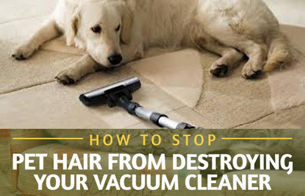 how to stop pet hair from destroying your vacuum cleaner