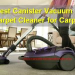 Top Canister Vacuum and Portable Spot Cleaners for Carpet