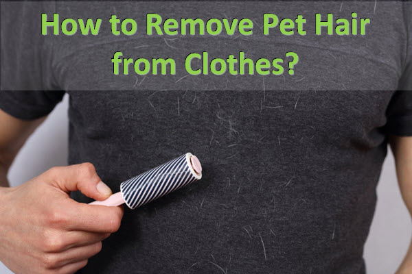 how to remove pet hair from clothes