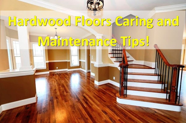 hardwood flooring care and maintenance tips