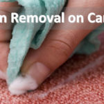 The Perfect Guide to Stain Removal on Carpet