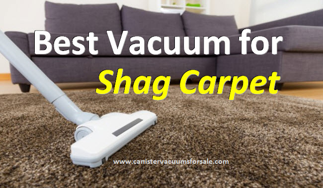 best vacuums for shag carpet